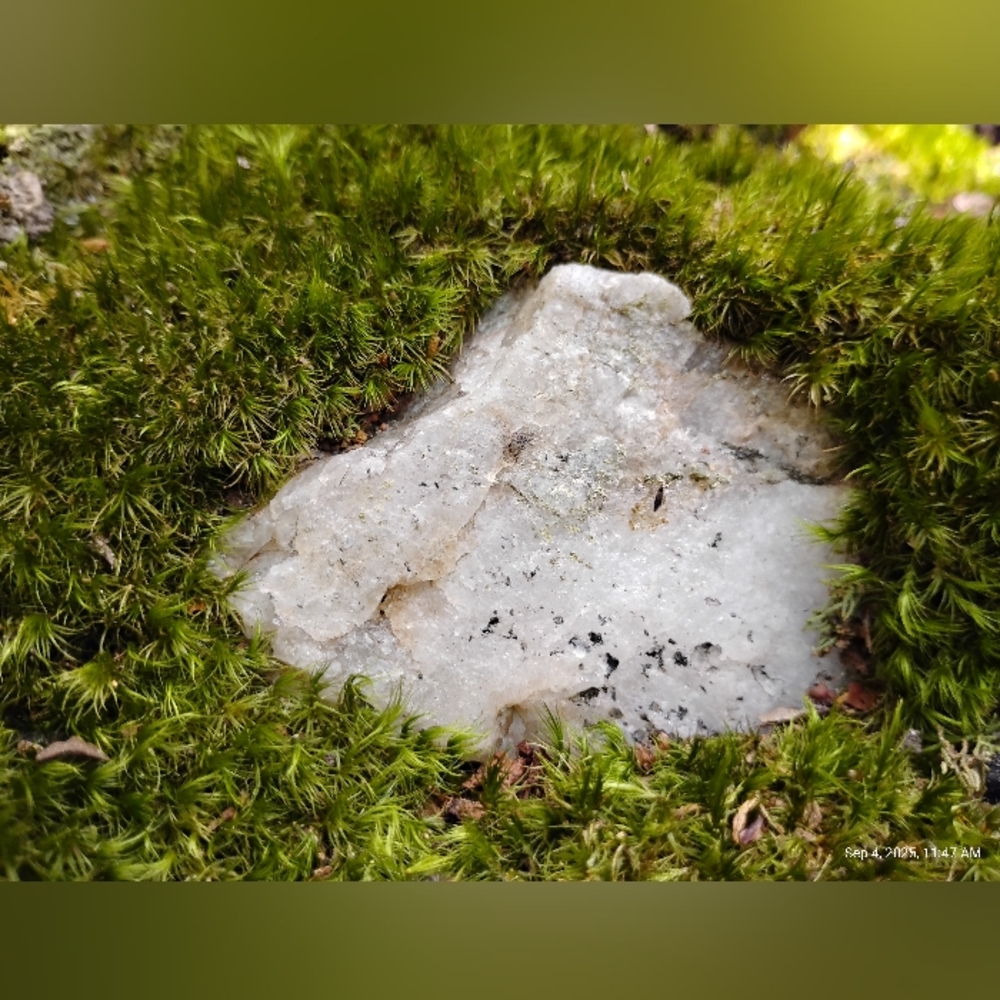 Unharvested White Quartz - Picture 2 of 2